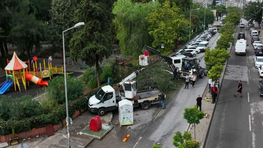 Karşıyaka’da fırtına ağacı devirdi: 4 otomobil hasar gördü haberinin görseli