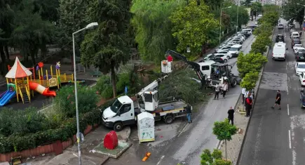 Karşıyaka’da fırtına ağacı devirdi: 4 otomobil hasar gördü