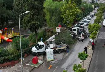 Karşıyaka’da fırtına ağacı devirdi: 4 otomobil hasar gördü