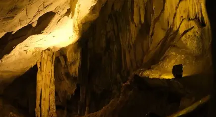 Doğal mirasa koruma kalkanı: 312 mağara ve 11 binden fazla anıt ağaç geleceğe taşınıyor!