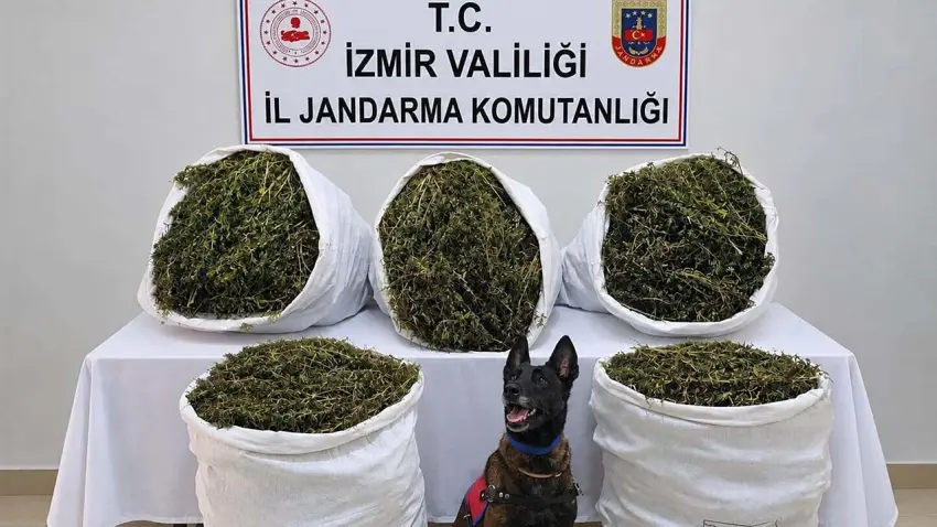 İzmir haber: Tire’de uyuşturucu operasyonu! 54 kilo yasaklı madde ele geçirildi haberinin görseli