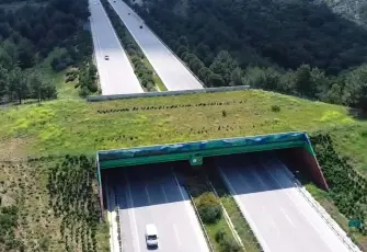 Ulaştırma Bakanı Uraloğlu ekolojik köprü sayısını açıkladı!