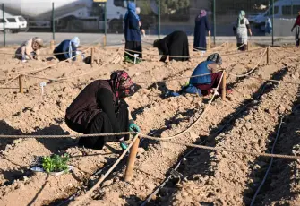 Bornova’da Türkiye’nin ilk karbon sıfır kent bostanı üretime başladı