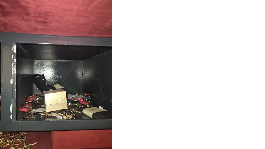 INTERPOL tarafından aranıyordu: Kripto dolandırıcılığı şüphelisi İstanbul’da yakalandı - Fotoğraf 1
