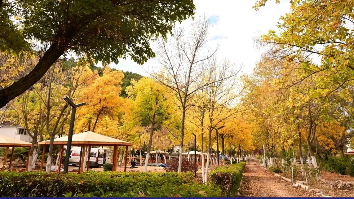 Manisa Demirci’de sonbahar manzarası mest etti