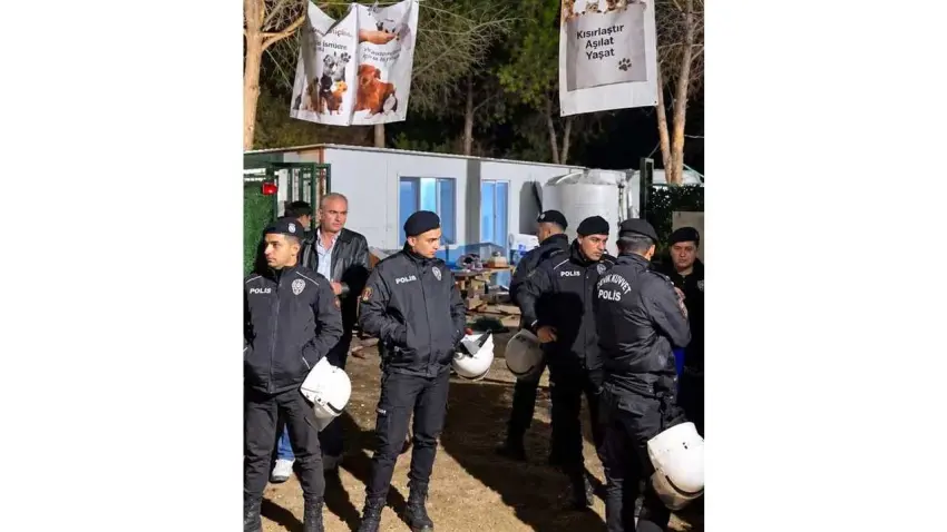 İzmir Barosu’ndan Ege Üniversitesi köpek operasyonu tepki haberinin görseli
