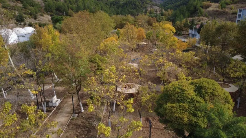Manisa Demirci’de sonbahar manzarası mest etti