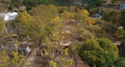 Manisa Demirci’de sonbahar manzarası mest etti