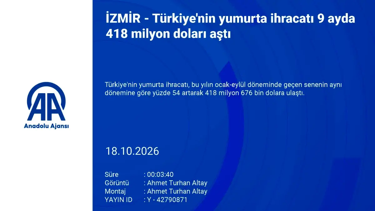Türkiye’nin yumurta ihracatı 9 ayda 418,6 milyon doları aştı görseli