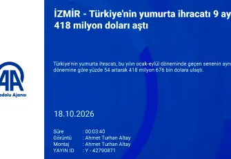 Türkiye’nin yumurta ihracatı 9 ayda 418,6 milyon doları aştı