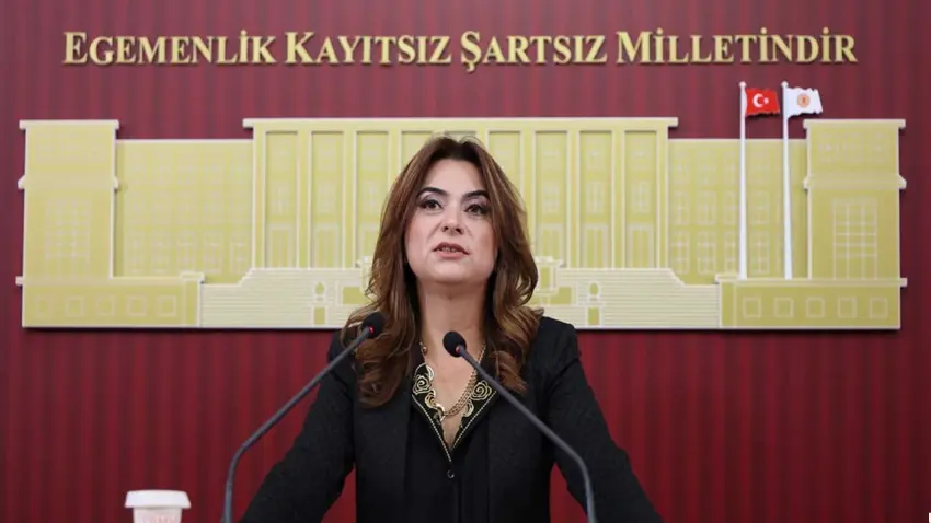 DEM Partili Koçyiğit'ten bütçe eleştirisi: Dilde barış varsa bütçede de olmalı haberinin görseli