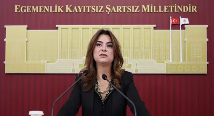 DEM Partili Koçyiğit'ten bütçe eleştirisi: Dilde barış varsa bütçede de olmalı