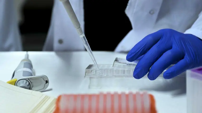 Uluslararası yasa dışı üreme hücresi ticareti çetesine dev operasyon:36 gözaltı haberinin görseli