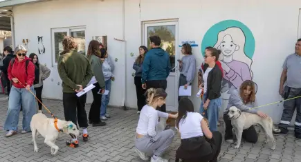 83 can dostu yeni yuvalarına uğurlandı