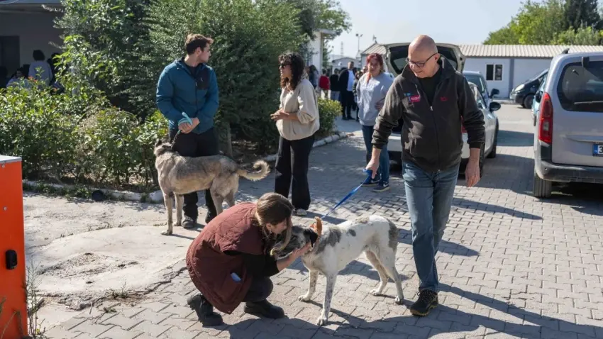 83 can dostu yeni yuvalarına uğurlandı - Fotoğraf 1