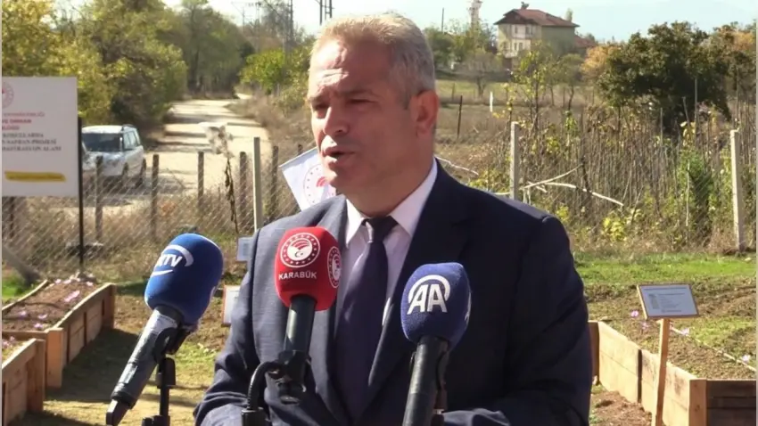 Safranbolu'da hasadı devam eden safranın kilosu 800 bin TL - Fotoğraf 2