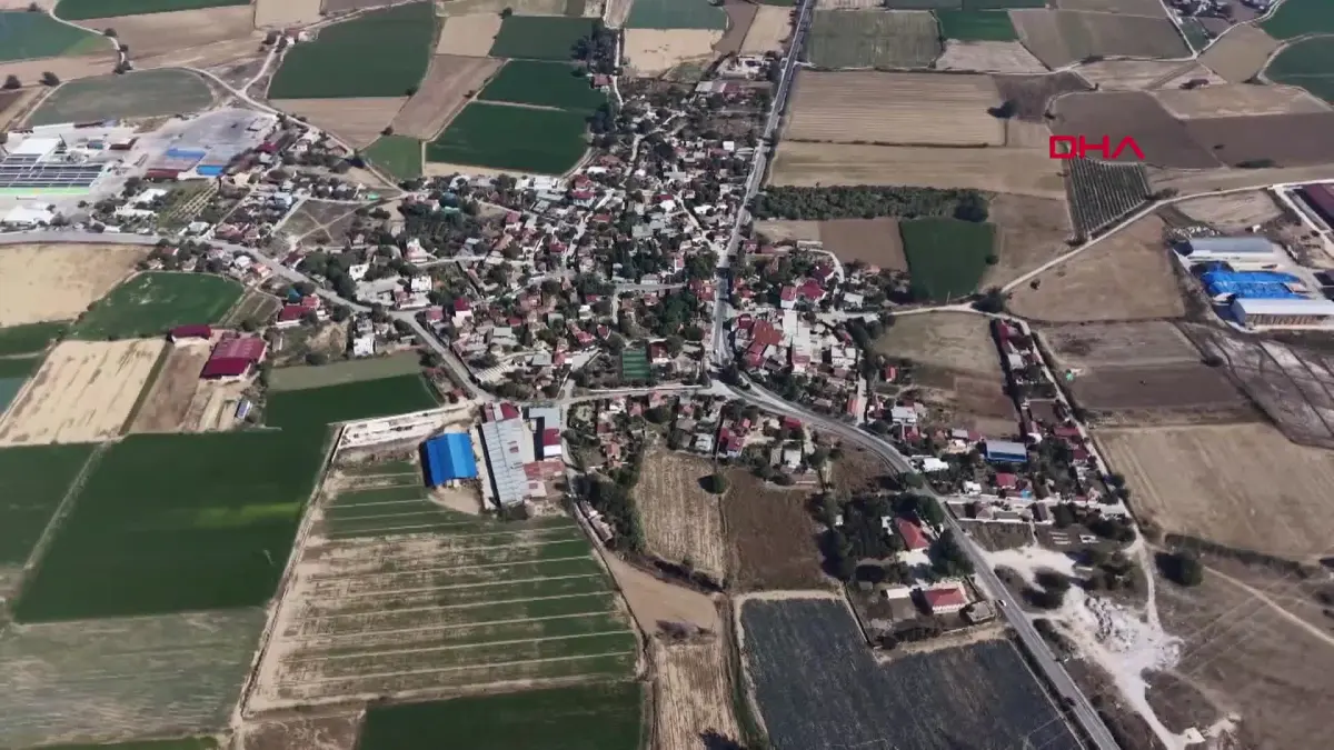 Ataları Afrika’dan geldi, vatanları İzmir oldu görseli