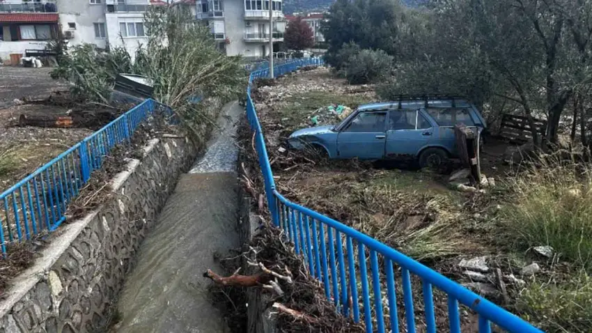 Bilim danışmanı Kesici’den sel felaketlerine tepki: Keder olmaktan öteye geçmiyor haberinin görseli
