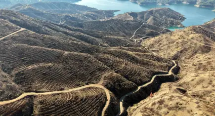 Kahramanmaraş’ta 52 saatte söndürülen yangınının faturası çok ağır oldu