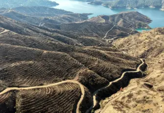 Kahramanmaraş’ta 52 saatte söndürülen yangınının faturası çok ağır oldu