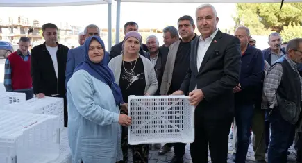 Kemalpaşa’da 656 çiftçiye zeytin kasası desteği