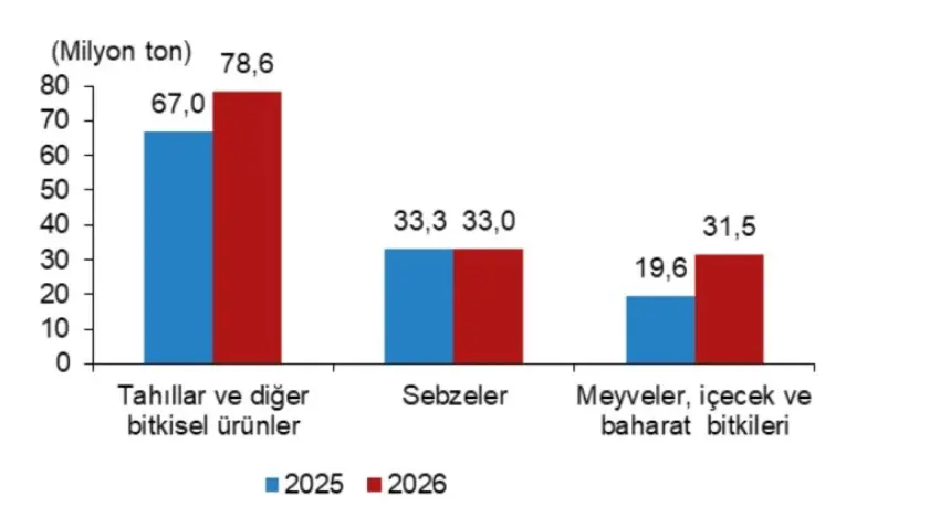 TÜİK 2026 verileri açıklandı: Buğday, meyve ve zeytin üretiminde artış bekleniyor - Fotoğraf 1