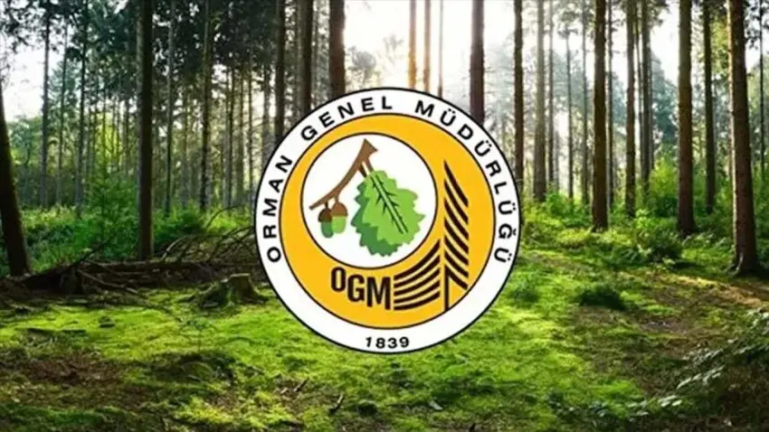 OGM 12 müfettiş yardımcısı alımı yapacak: Başvuru tarihleri belli oldu