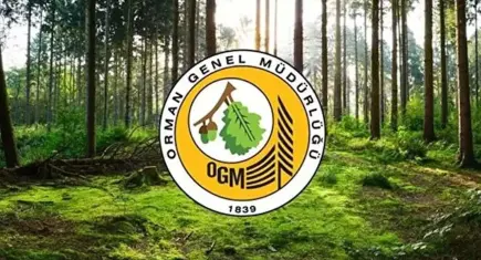 OGM 12 müfettiş yardımcısı alımı yapacak: Başvuru tarihleri belli oldu