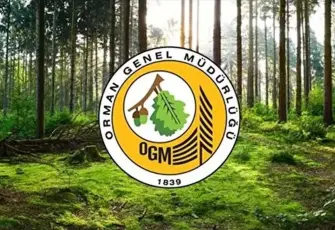 OGM 12 müfettiş yardımcısı alımı yapacak: Başvuru tarihleri belli oldu