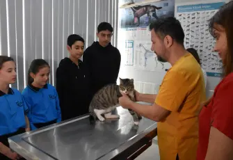 Öğrencilerden Kurabiye’ye yaşam desteği: Harçlıklarını onun için topladılar