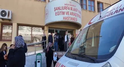 Okula getirilen yaprak sarması hastanelik etti: 12 öğrenci zehirlendi!