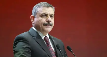 Bakan Çiftçi duyurdu: Sahipsiz sokak hayvanları için süreç tamamlandı