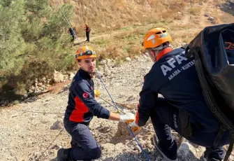 İzmir’de çamura saplanan köpek için ekipler seferber oldu