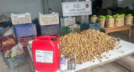 İzmir’de gıda skandalı: Kimyasalla beyazlatılmış 3 ton incir ele geçirildi