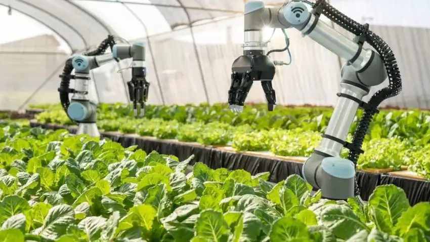Tarımsal üretimde insan krizi kapıya dayandı: Çare robotlar - Fotoğraf 4