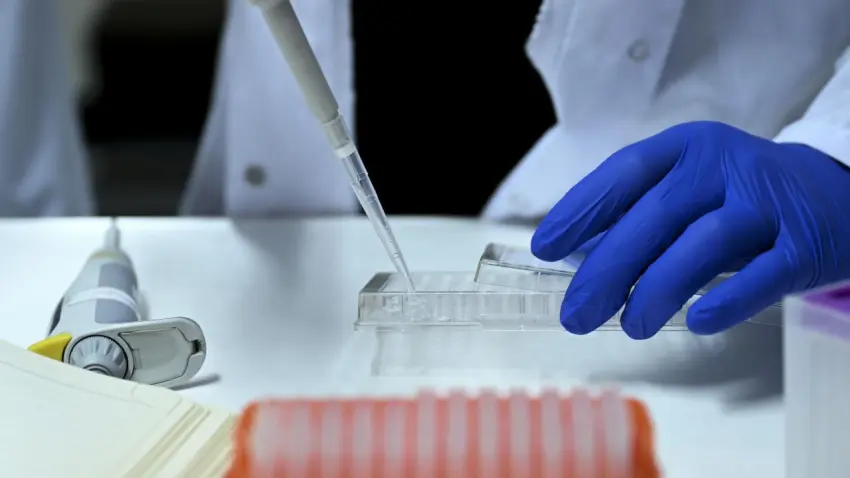 Yasa dışı üreme hücresi ticareti soruşturmasında yeni detaylar! Örgüt lideri etkin pişmanlıktan faydalanmak istedi haberinin görseli