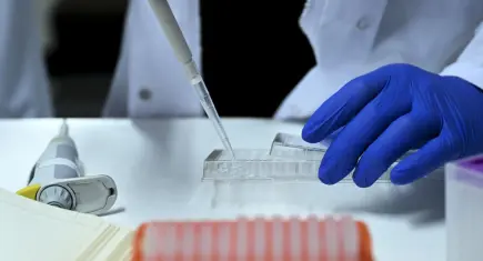 Yasa dışı üreme hücresi ticareti soruşturmasında yeni detaylar! Örgüt lideri etkin pişmanlıktan faydalanmak istedi