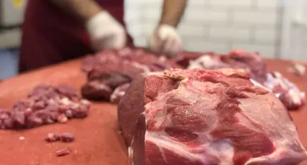 Dana eti yükselişini sürdürüyor