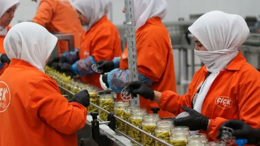 Türkiye’den 121 ülkeye 197 bin tonu aşkın turşu ihraç edildi haberinin görseli