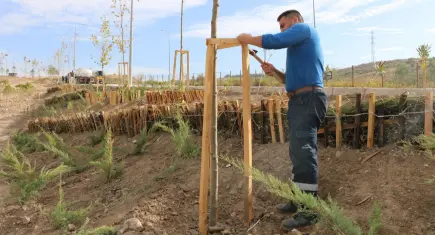 Buca Adatepe’de erozyona karşı teraslama ve ağaçlandırma çalışması