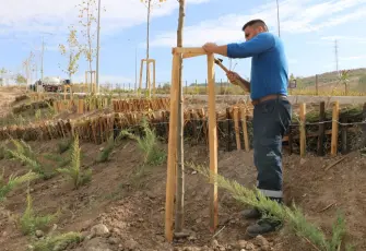 Buca Adatepe’de erozyona karşı teraslama ve ağaçlandırma çalışması