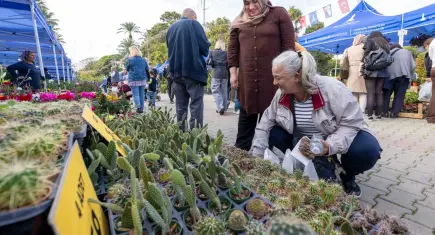 İzmir’de Balkon-Bahçe Bitkileri ve Bal Festivali başladı: Üreticiden tüketiciye doğrudan satış