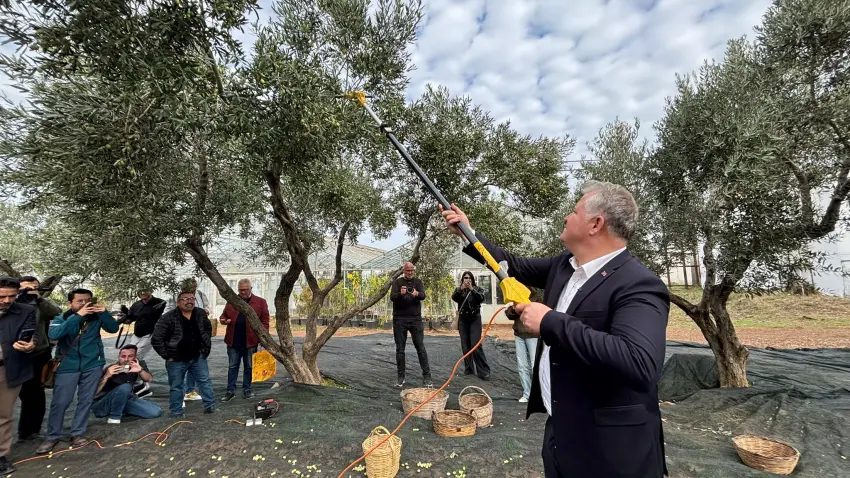 Urla Zeytin ve Sanat Festivali kapılarını açıyor - Fotoğraf 3