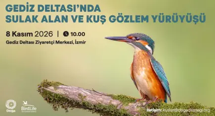 Doğa Derneği’nden İzmir’e çağrı: Gediz Deltası’nda doğayla buluşma