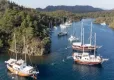 Ege koyları turistlerin ilk tercihi oldu haberinin görseli