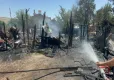 Elazığ'da 15 keçi, 29 tavuk telef oldu haberinin görseli