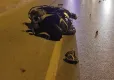 Muğla'da kaza! Motosikletle araba çarpıştı: 1 ölü, 2 yaralı   haberinin görseli
