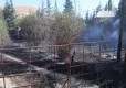 Elazığ'da örtü ve bahçe yangını çıktı haberinin görseli