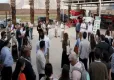 Pamukta rekolte kaybına rejeneraktif çözüm haberinin görseli