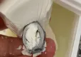 Peynirin içinden metal somun çıktı haberinin görseli